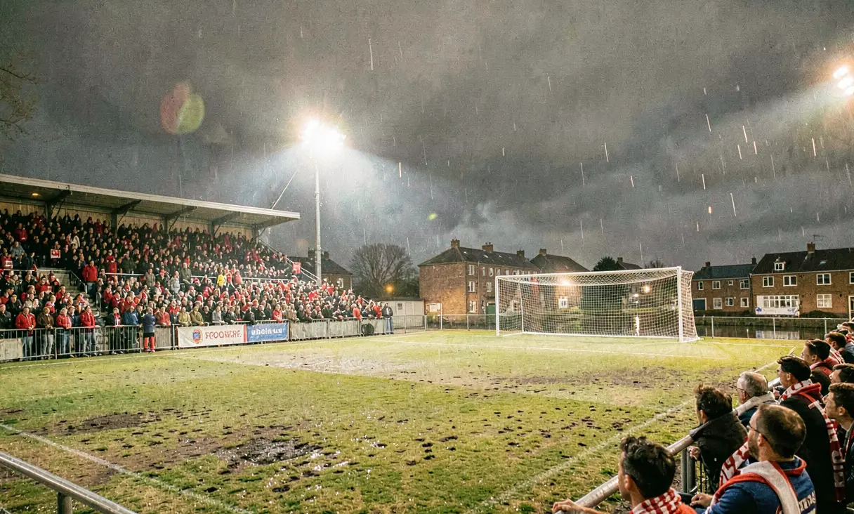Lokeren